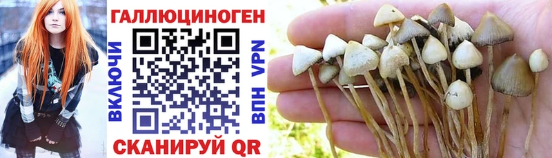 Купить закладки  Краснокаменск  Псилоцибиновые грибы MAGIC MUSHROOMS 